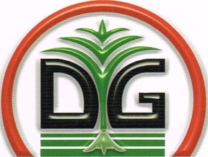 Logotipo Di Giorgio