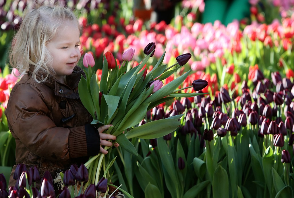 Nationale Tulpendag