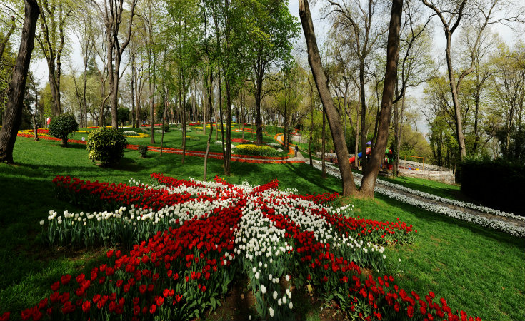 Park Istambul Tulip