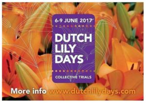 Dutch Lily Days 2017